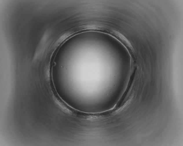 X0000112750938200908271539