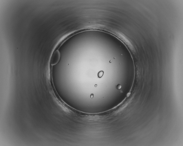 X0000112750940200908271539