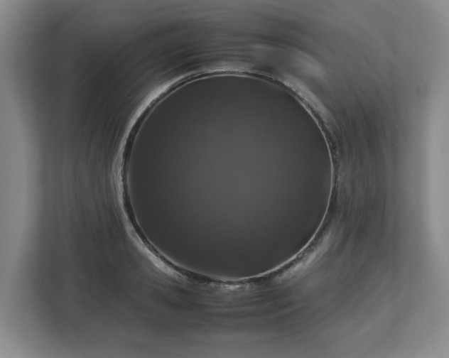 X0000112750941200908271539