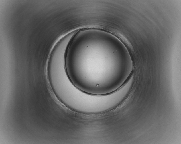 X0000112750944200908271539