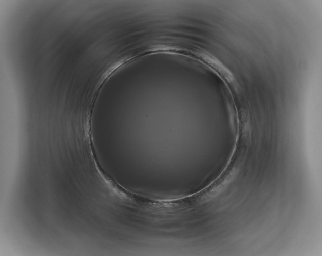 X0000112750945200908271539