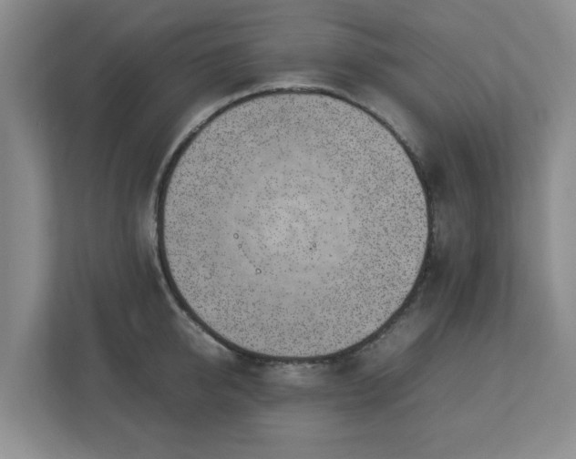 X0000112750950200908271539