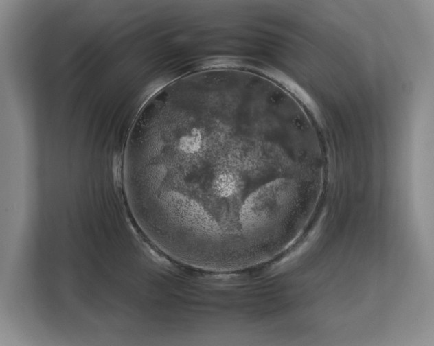 X0000112750953200908271539