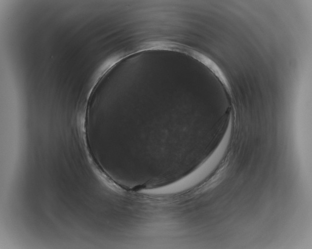 X0000112750954200908271539