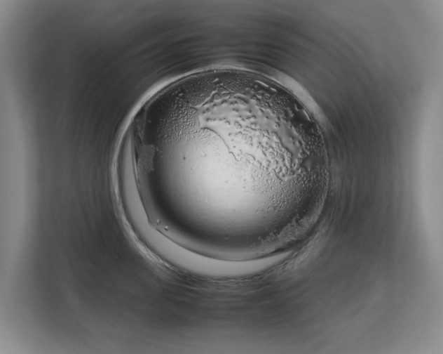 X0000112750955200908271539