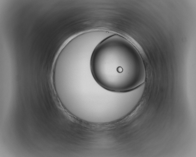 X0000112750956200908271539