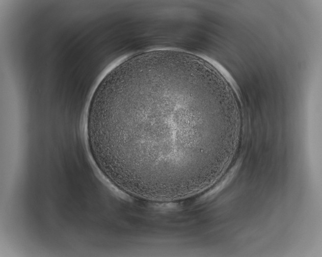 X0000112750957200908271539