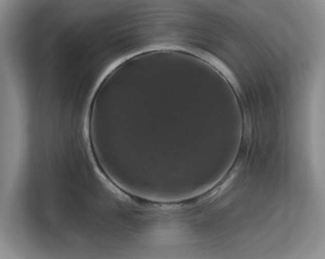 X0000112750958200908271539