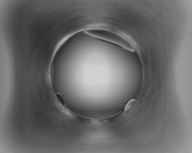 X0000112750960200908271539