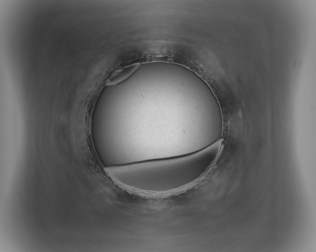 X0000112750961200908271539