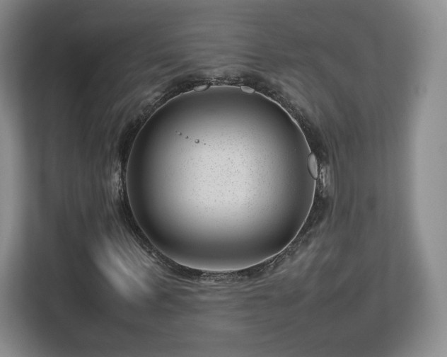 X0000112750963200908271538