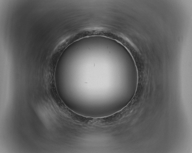 X0000112750967200908271538