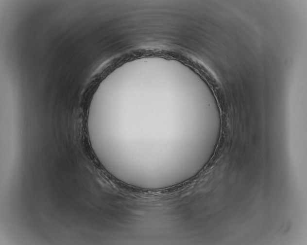 X0000112750968200908271538