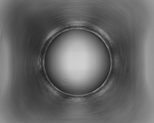 X0000112750970200908271538