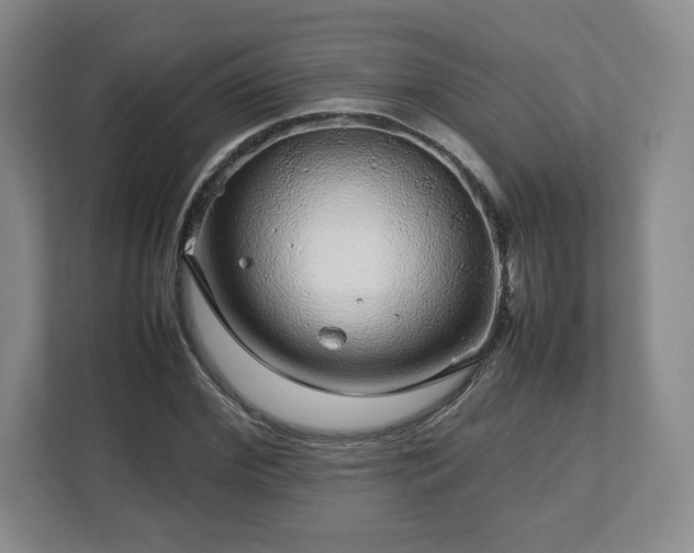 X0000112750972200908271538