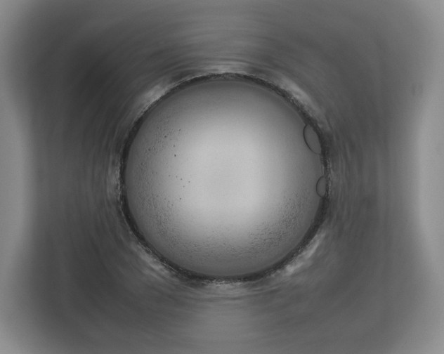 X0000112750977200908271538