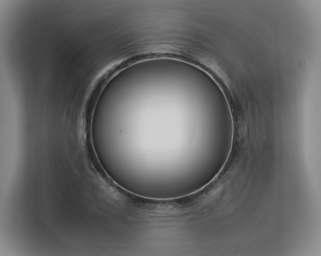 X0000112750979200908271538