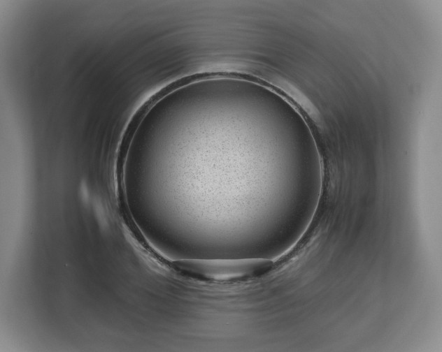 X0000112750980200908271538