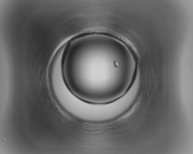 X0000112750981200908271538