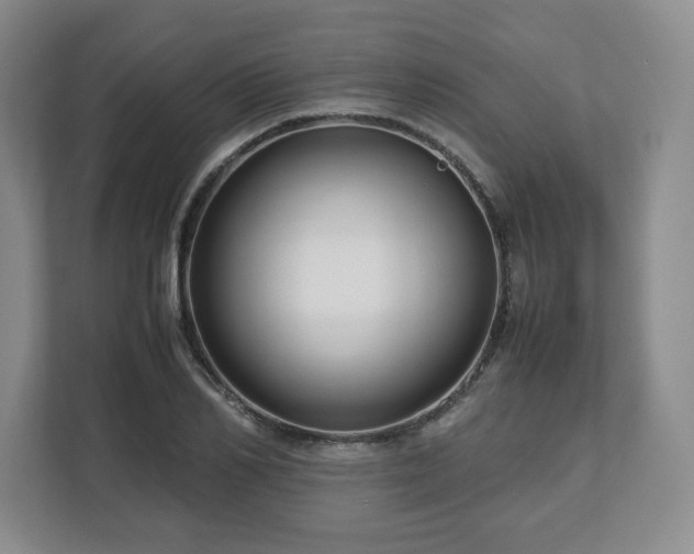 X0000112750982200908271538