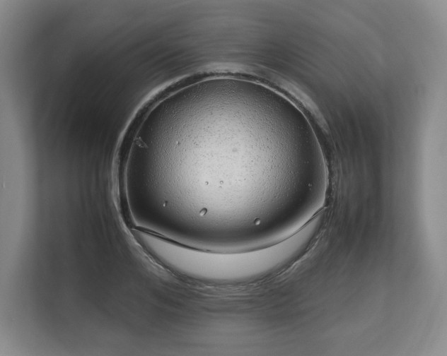 X0000112750984200908271538