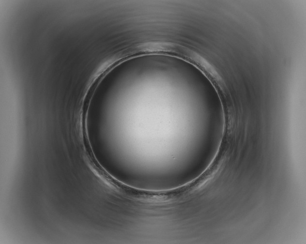 X0000112750986200908271538