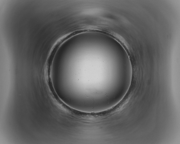 X0000112750987200908271538