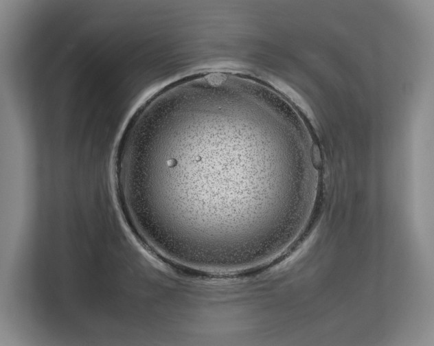 X0000112750989200908271538