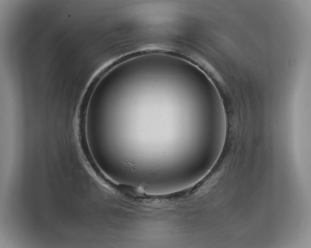 X0000112750991200908271538