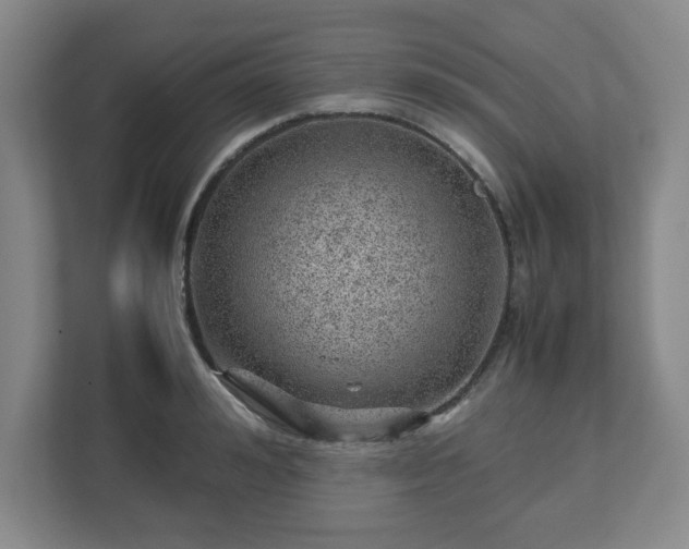 X0000112750992200908271538