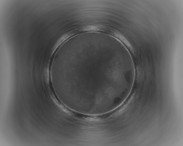 X0000112750994200908271538