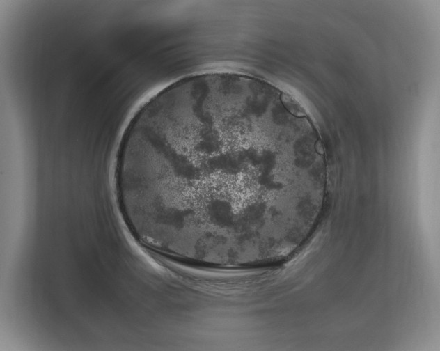 X0000112750995200908271538