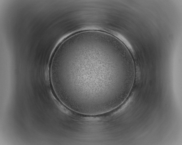 X0000112750996200908271538