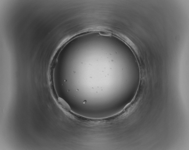 X0000112750997200908271538