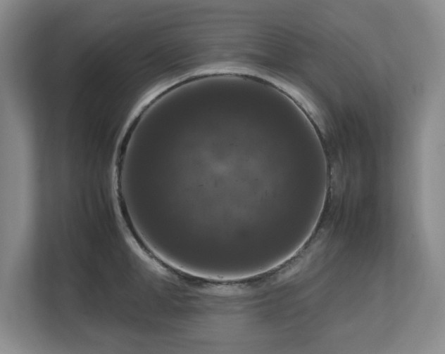 X0000112750998200908271538