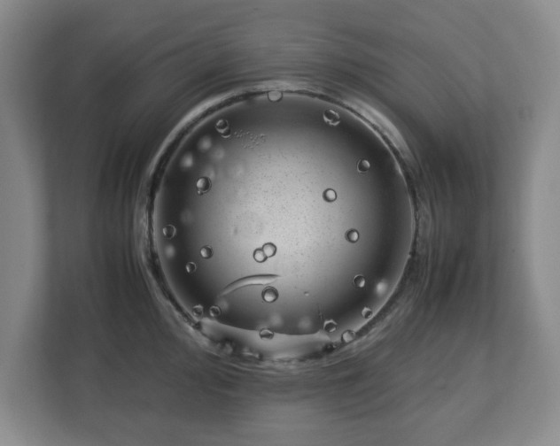 X0000112751000200908271538