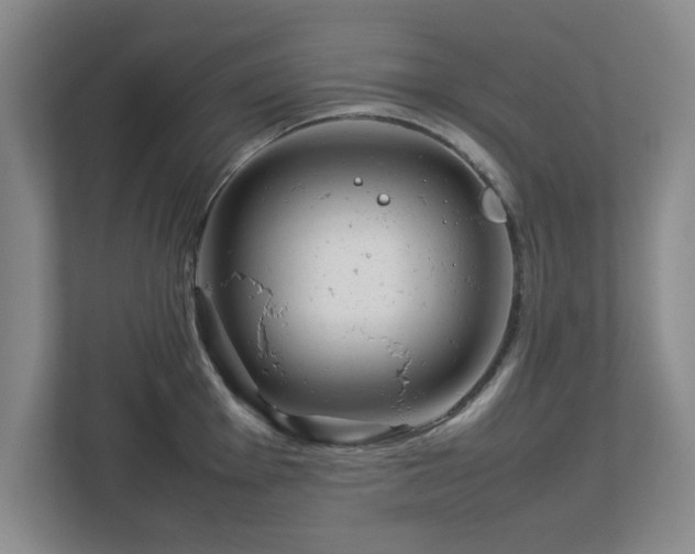 X0000112751001200908271538