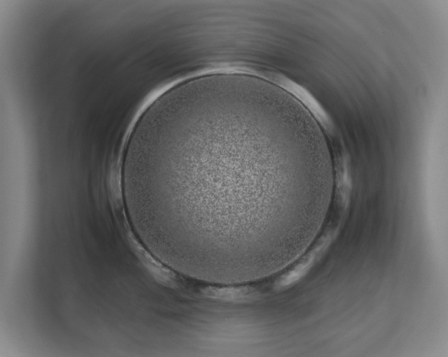 X0000112751004200908271538