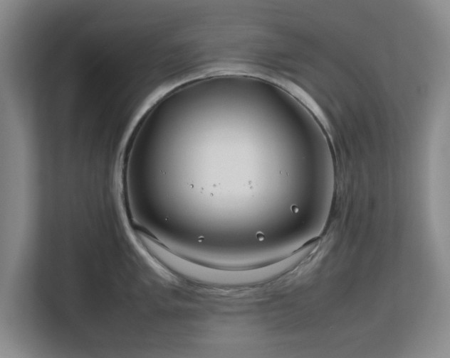 X0000112751005200908271538