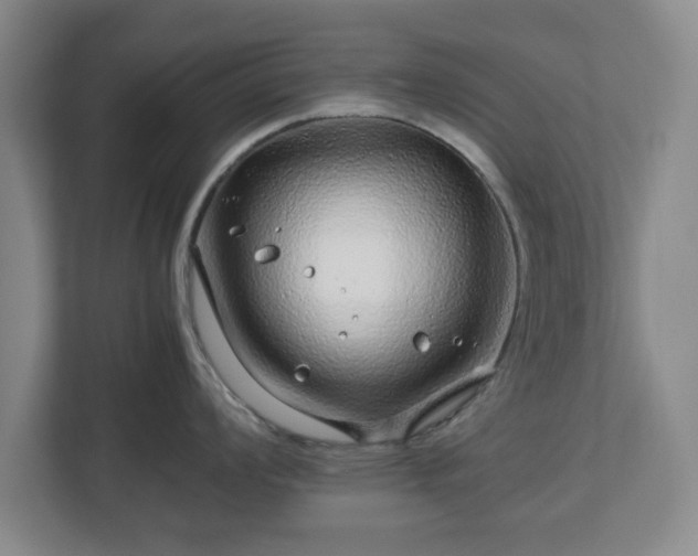 X0000112751008200908271538