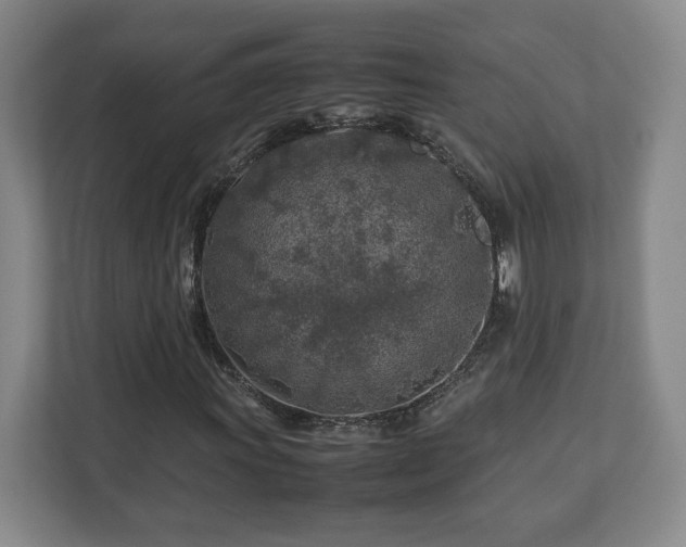 X0000112751011200908271537