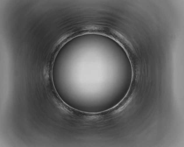 X0000112751017200908271537