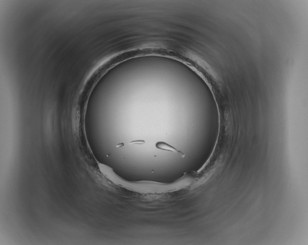 X0000112751021200908271537