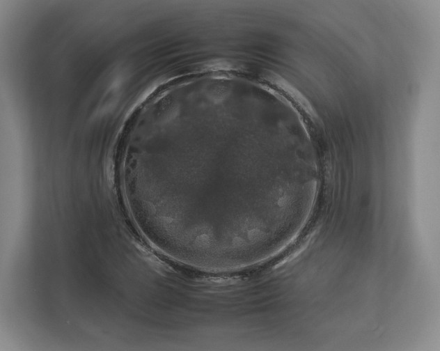 X0000112751023200908271537