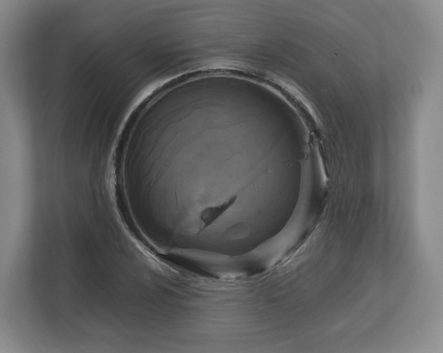 X0000112751024200908271537