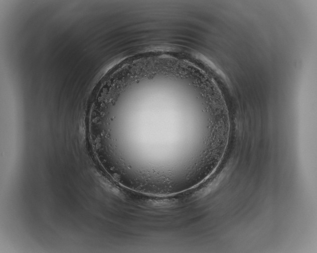 X0000112751025200908271537