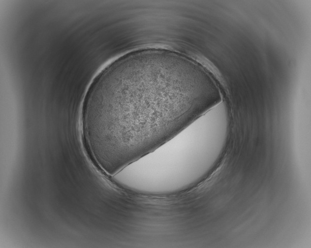 X0000112751028200908271538