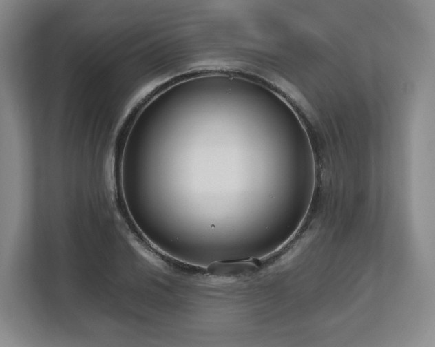 X0000112751030200908271538