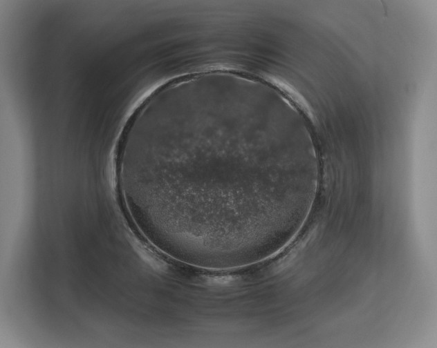 X0000112751031200908271538