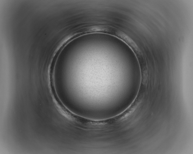 X0000112751039200908271538